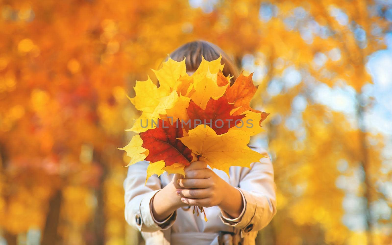 Children in the park with autumn leaves. Selective focus. nature.