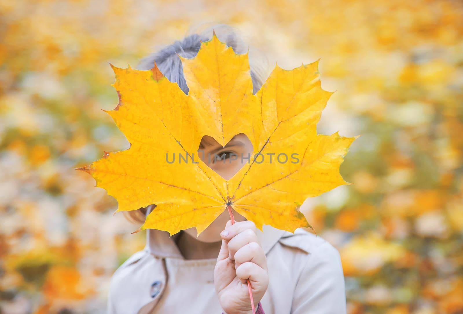 Children in the park with autumn leaves. Selective focus.