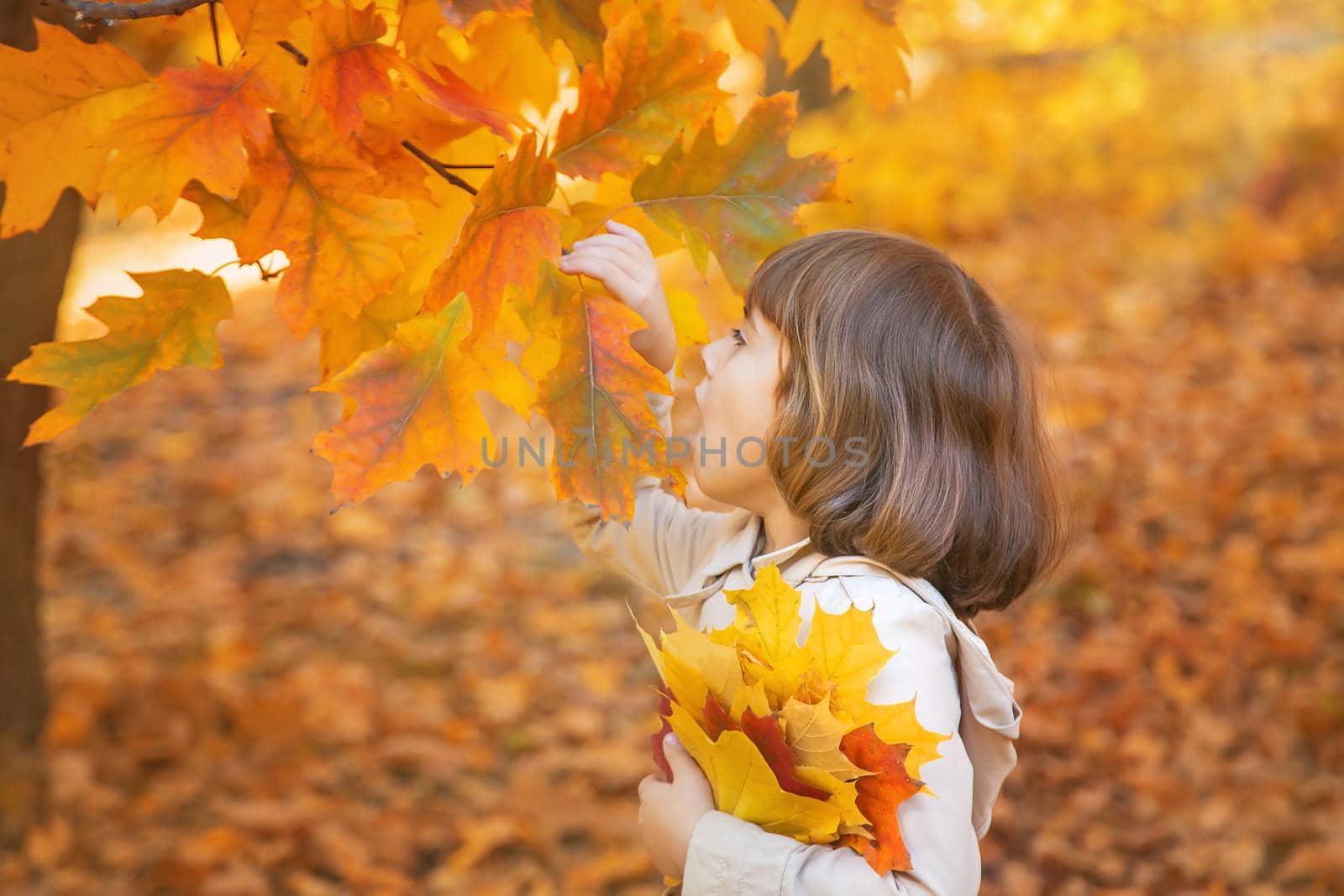 Children in the park with autumn leaves. Selective focus.
