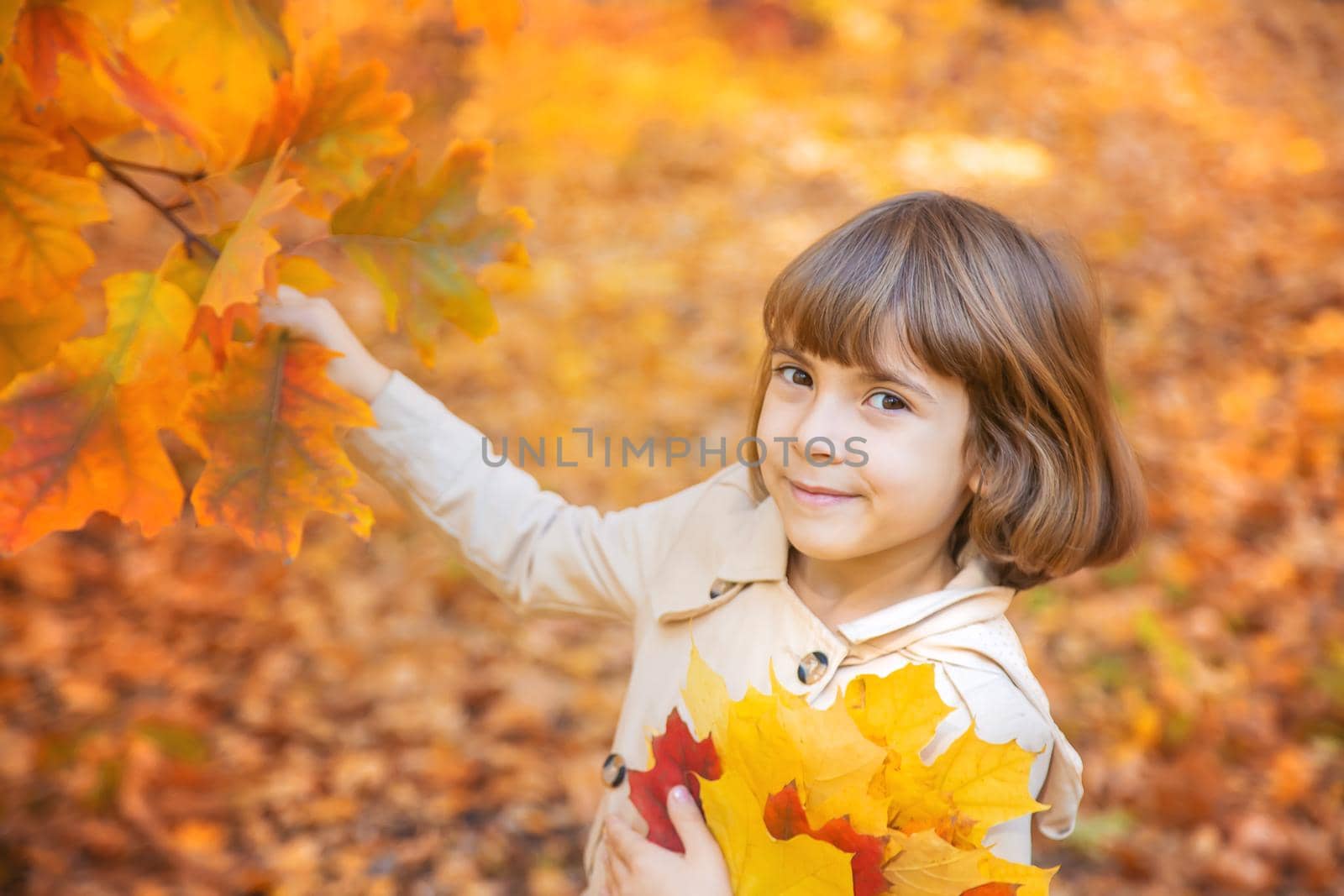 Children in the park with autumn leaves. Selective focus.