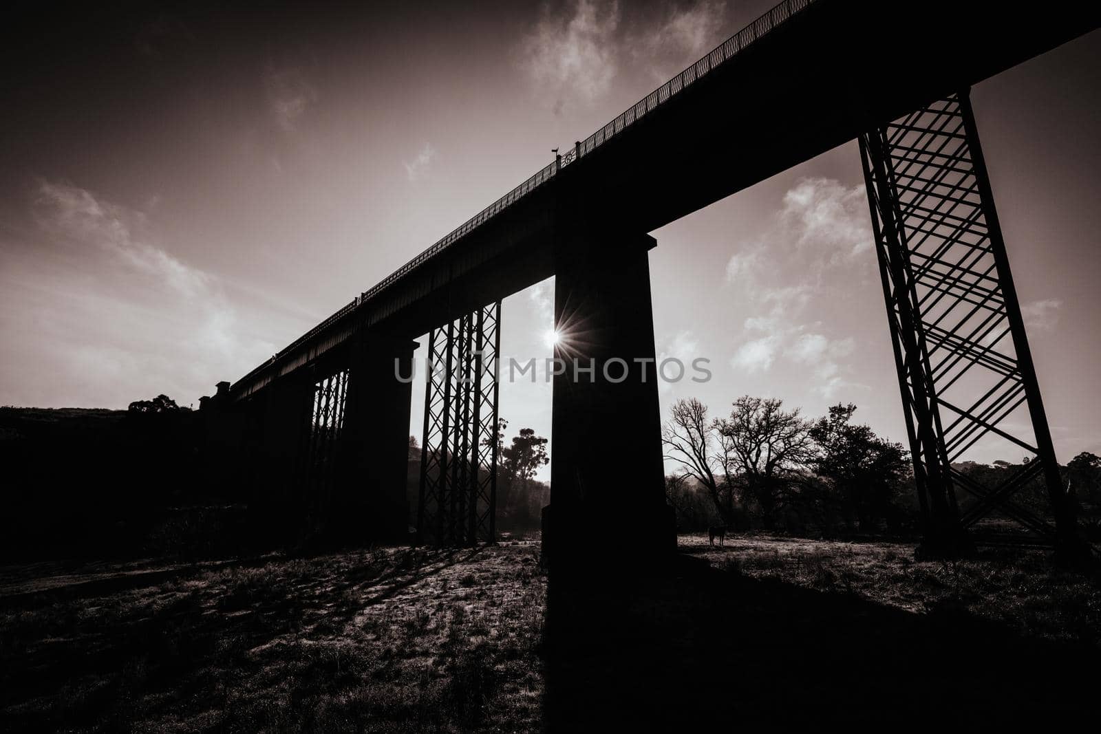 A 19th century viaduct in Taradale, Victoria, Australia on a clear spring day.