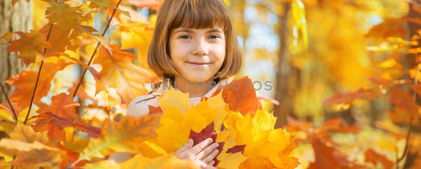 Children in the park with autumn leaves. Selective focus.