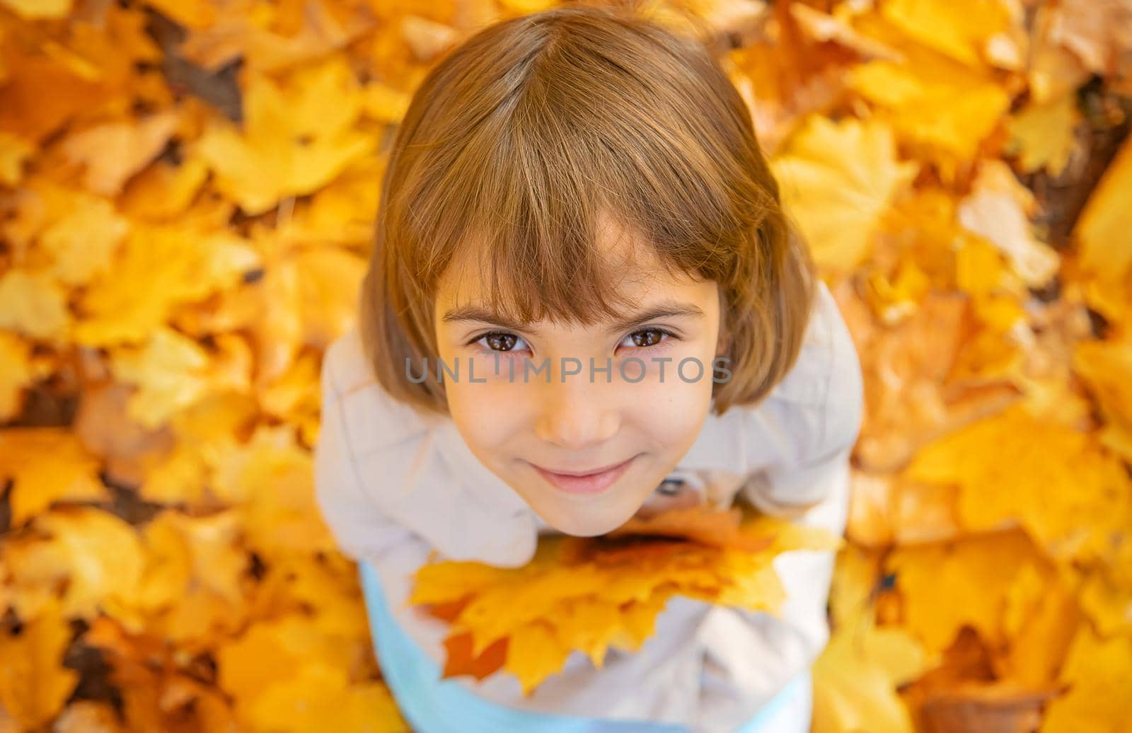 Children in the park with autumn leaves. Selective focus.