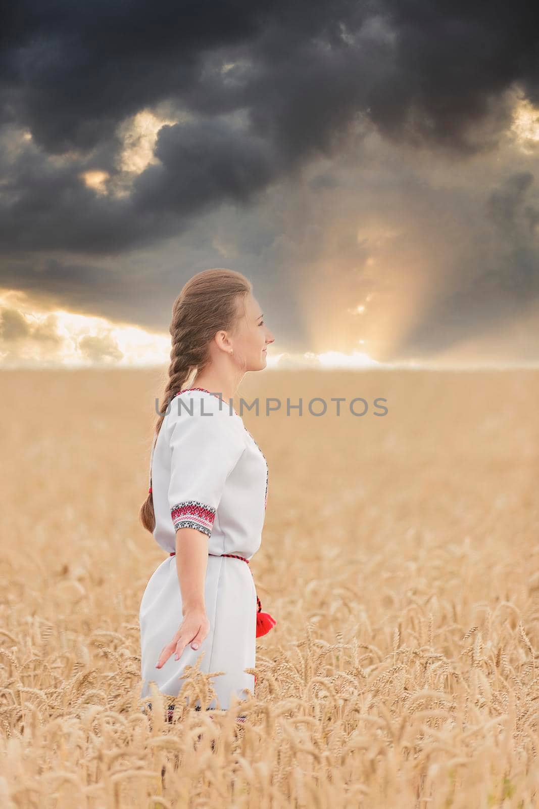 girl in Ukrainian national costume on a wheat field by zokov