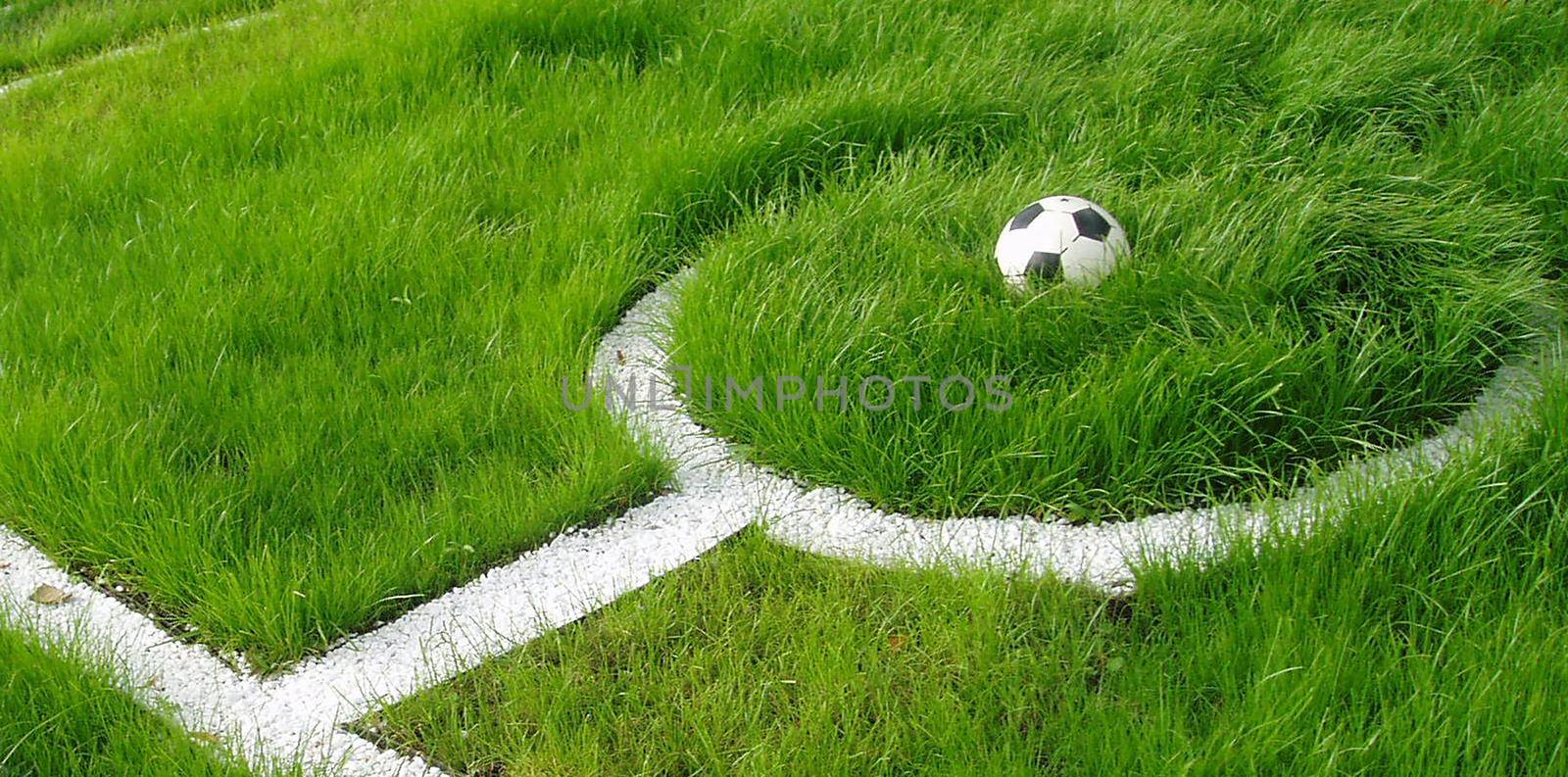 Soccer ball on green grass. Green flowerbed depicting a football field and a ball.