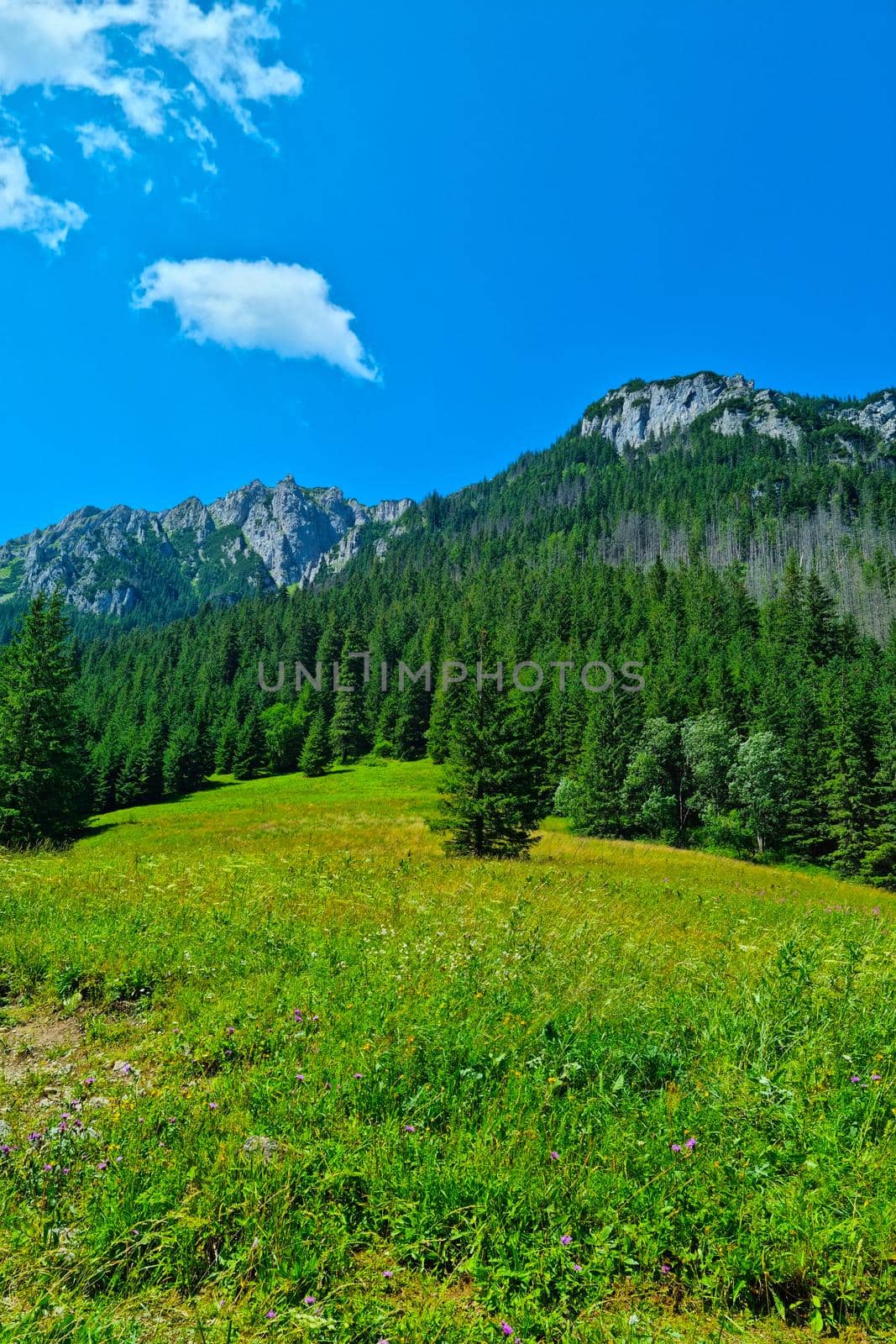 Beautiful view of the mountains on a sunny summer day. by kip02kas