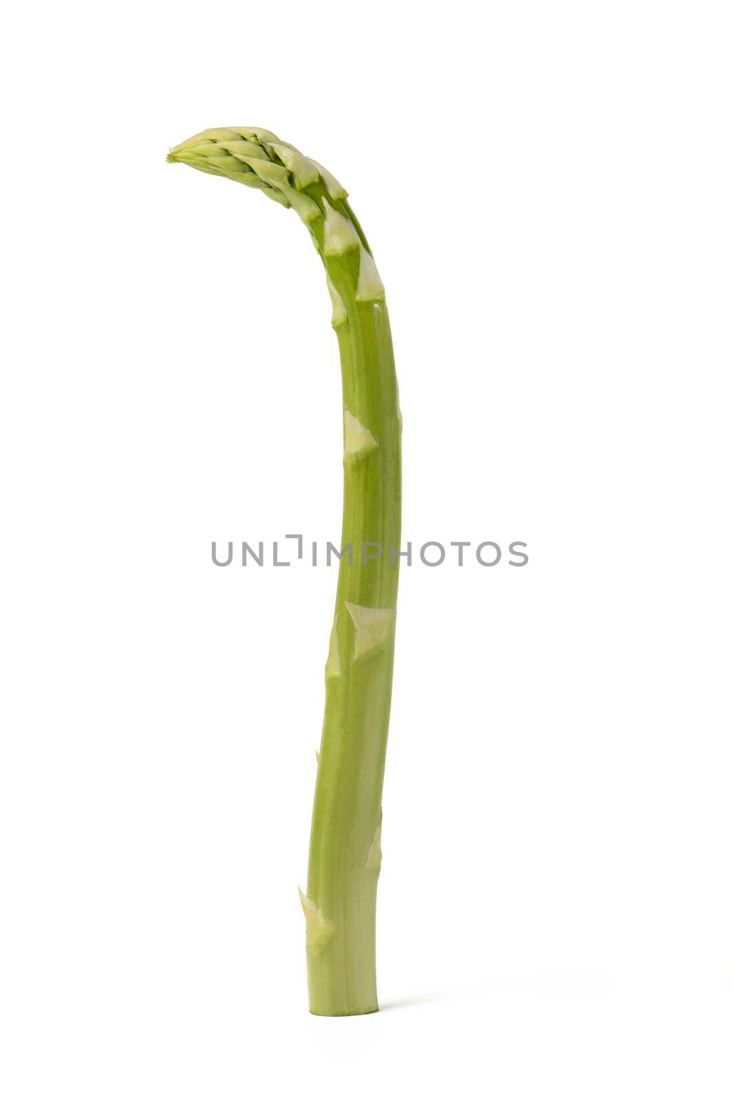 Fresh green asparagus on a white isolated background. Green asparagus isolate with shadow on white background