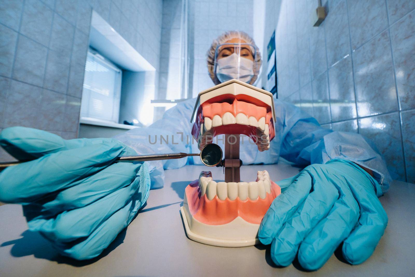 A dental doctor wearing blue gloves and a mask holds a dental model of the upper and lower jaws and a dental mirror.