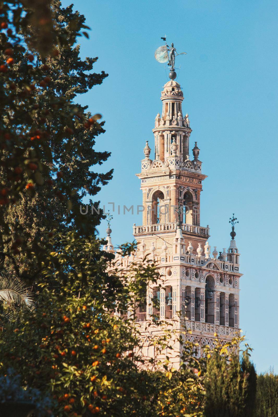 Vertical shot of the Giralda bell tower, part of the cathedral in Seville, Spain - taken from the Real Alcazar royal gardens