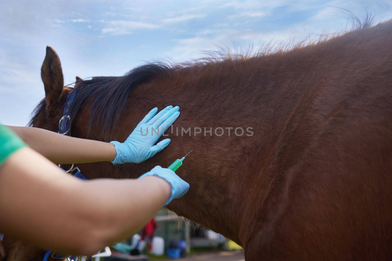 Shot of a unrecognizable veterinarian doing a checkup on a horse on a farm.