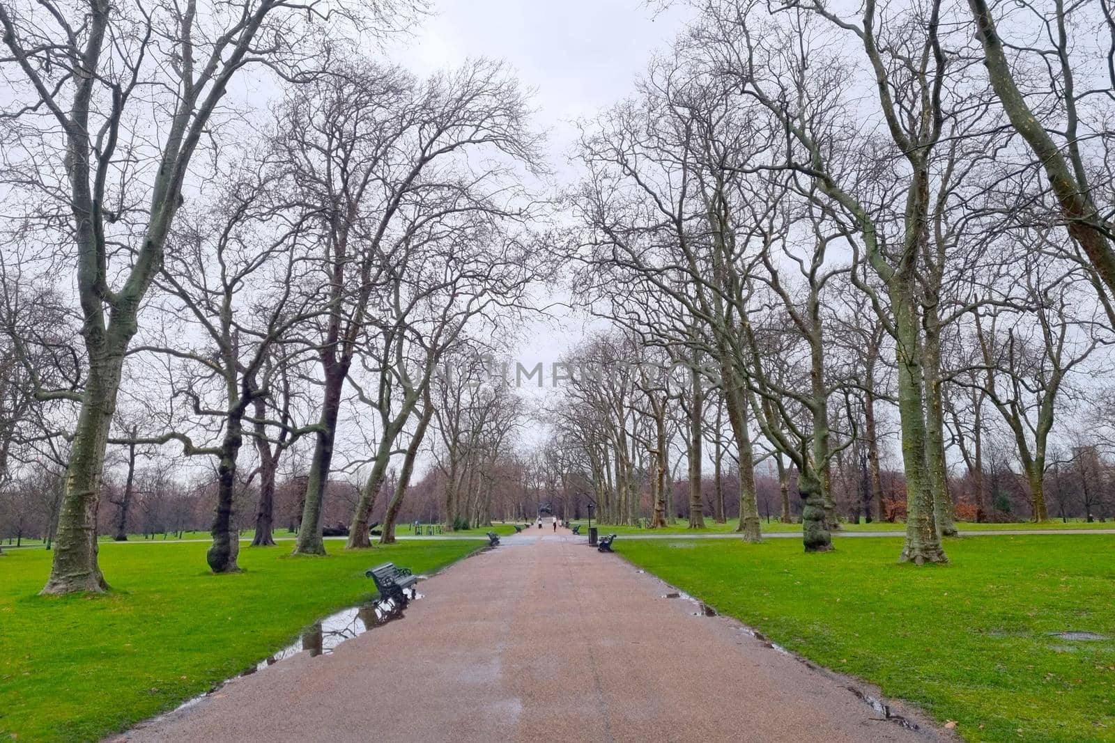 View of the park on a cloudy winter day. Outdoor recreation
