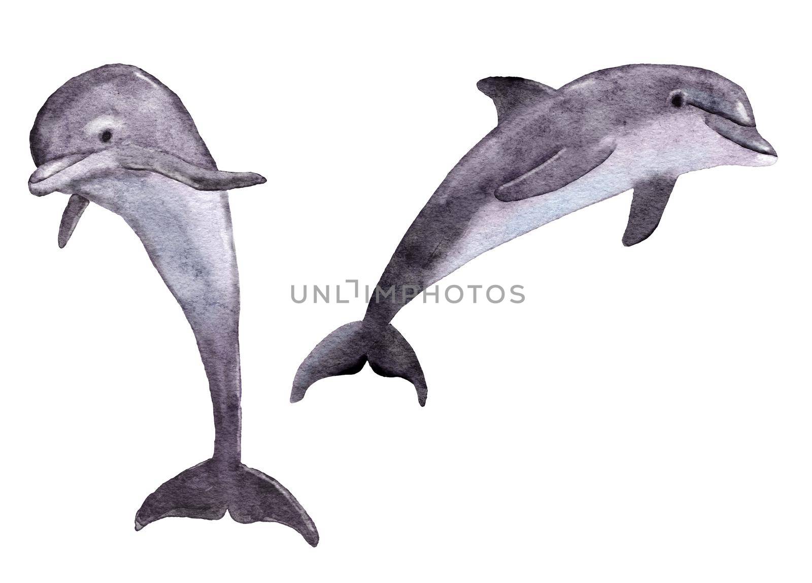 Watercolor illustration of sea ocean dolphins, marine aquatic underwater mammal animals. Ecology environment wildlife, wild nature endangered species