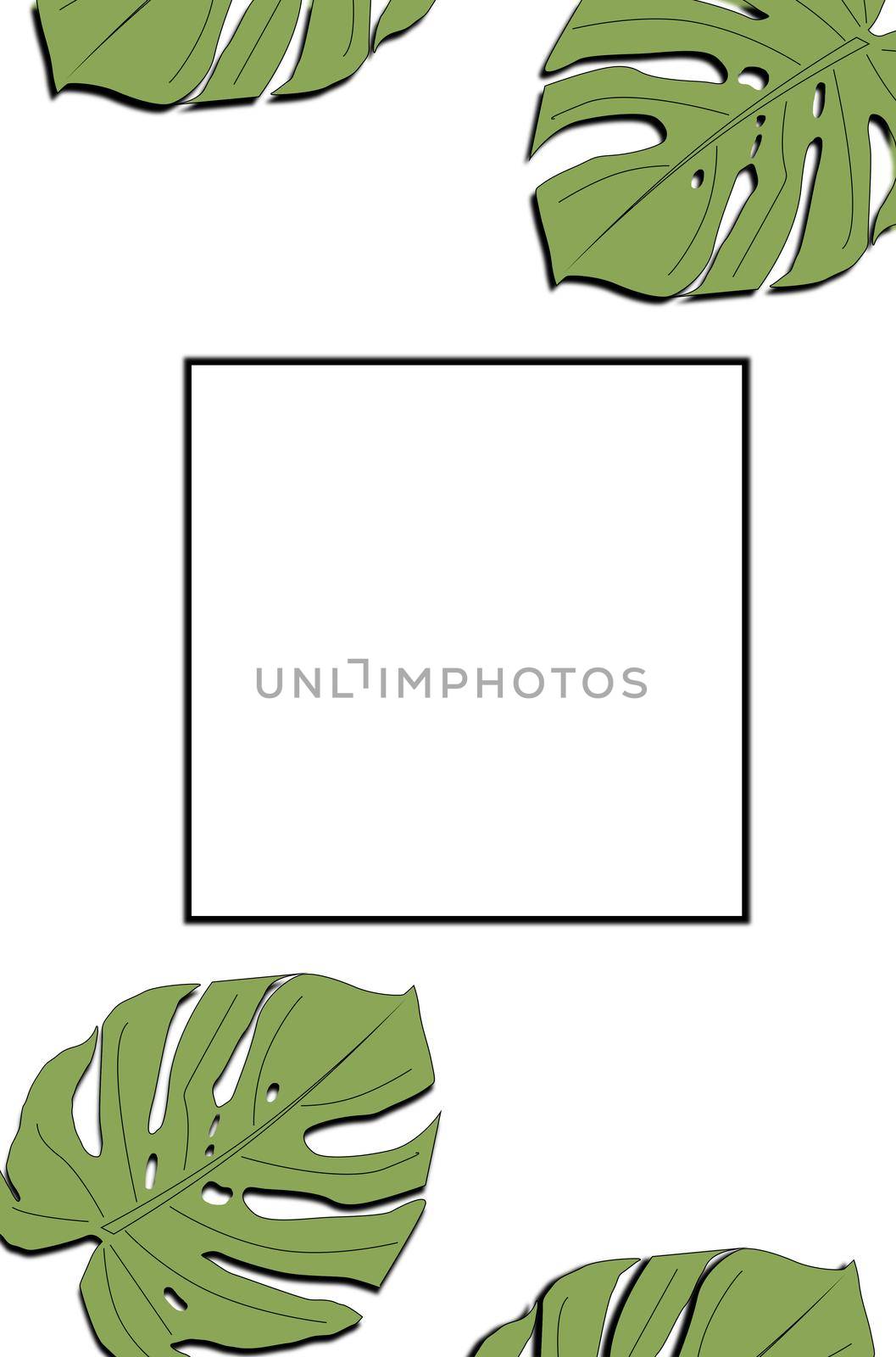 Frame and tropical leaves Monstera on white background a space for text. by nazarovsergey