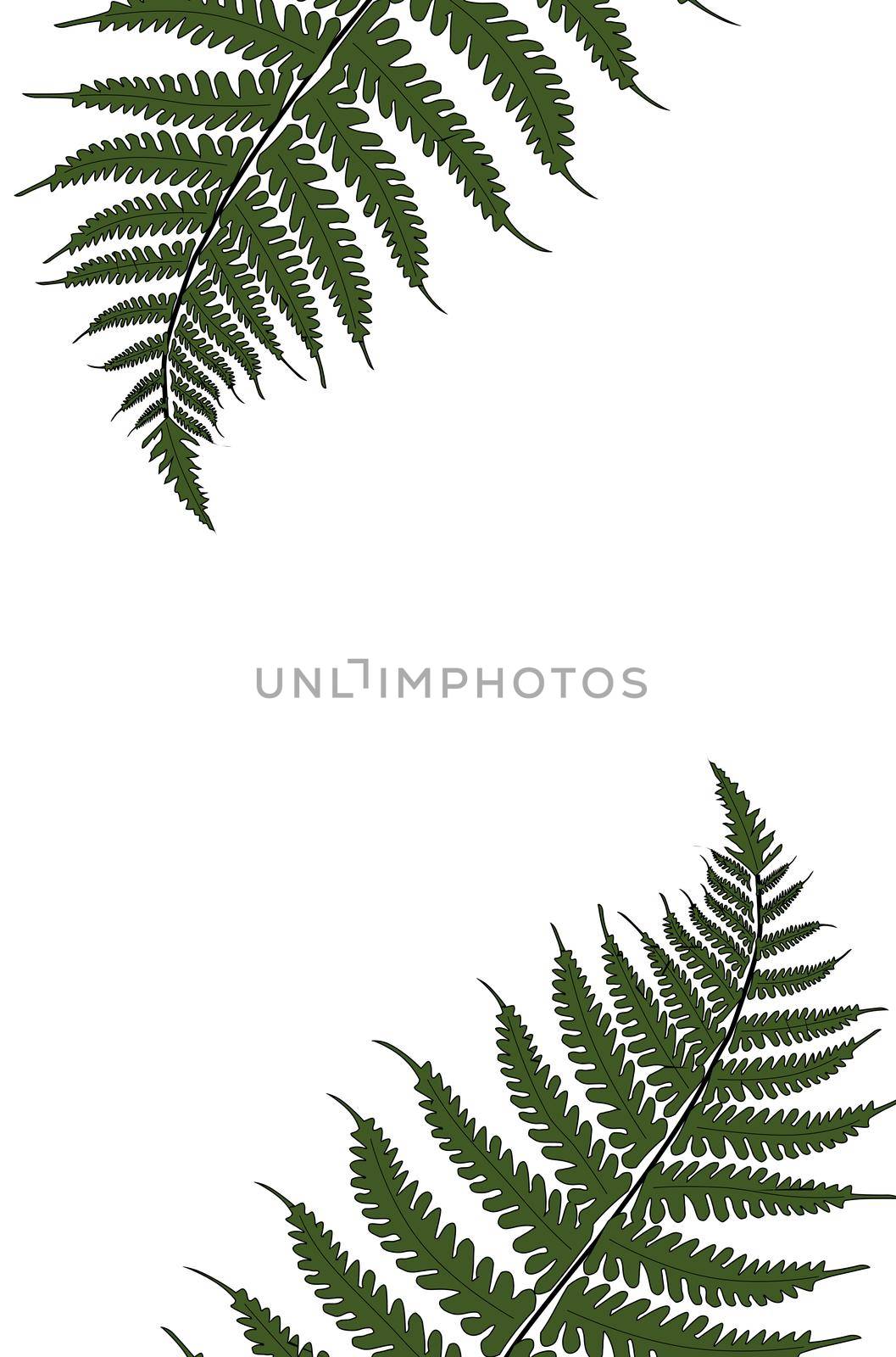 Creative tropical green leaves layout. Nature spring concept. Pattern on white background