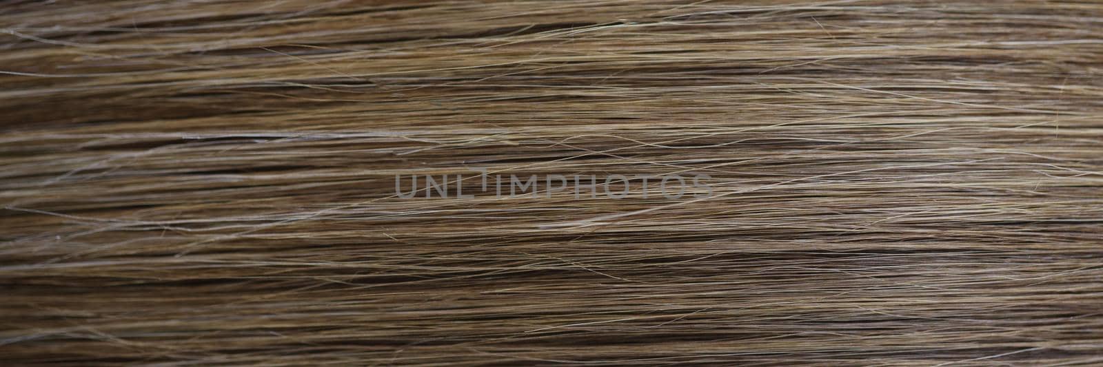 Close-up of straight chestnut natural hair texture after dye procedure in salon. Woman with shiny and luxury quality of hair. Wellness, self care concept