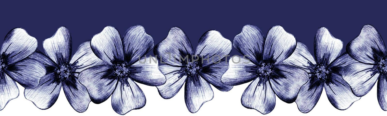 Flower Seamless Border. Floral Border with Blue Marigolds Drawn by Color Pencils. Seamless Floral Background in Hand Drawn Style Isolated on White.