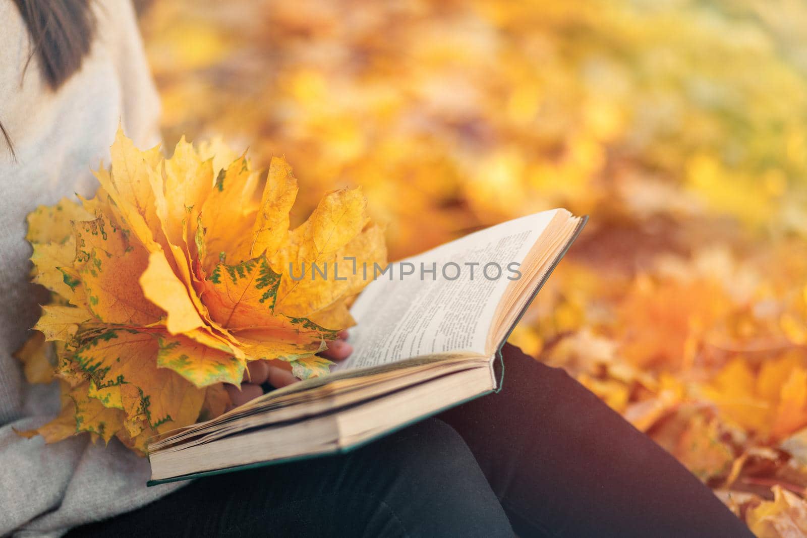 Close-up on a book and a yellow bouquet of autumn leaves in female hands. copy space.