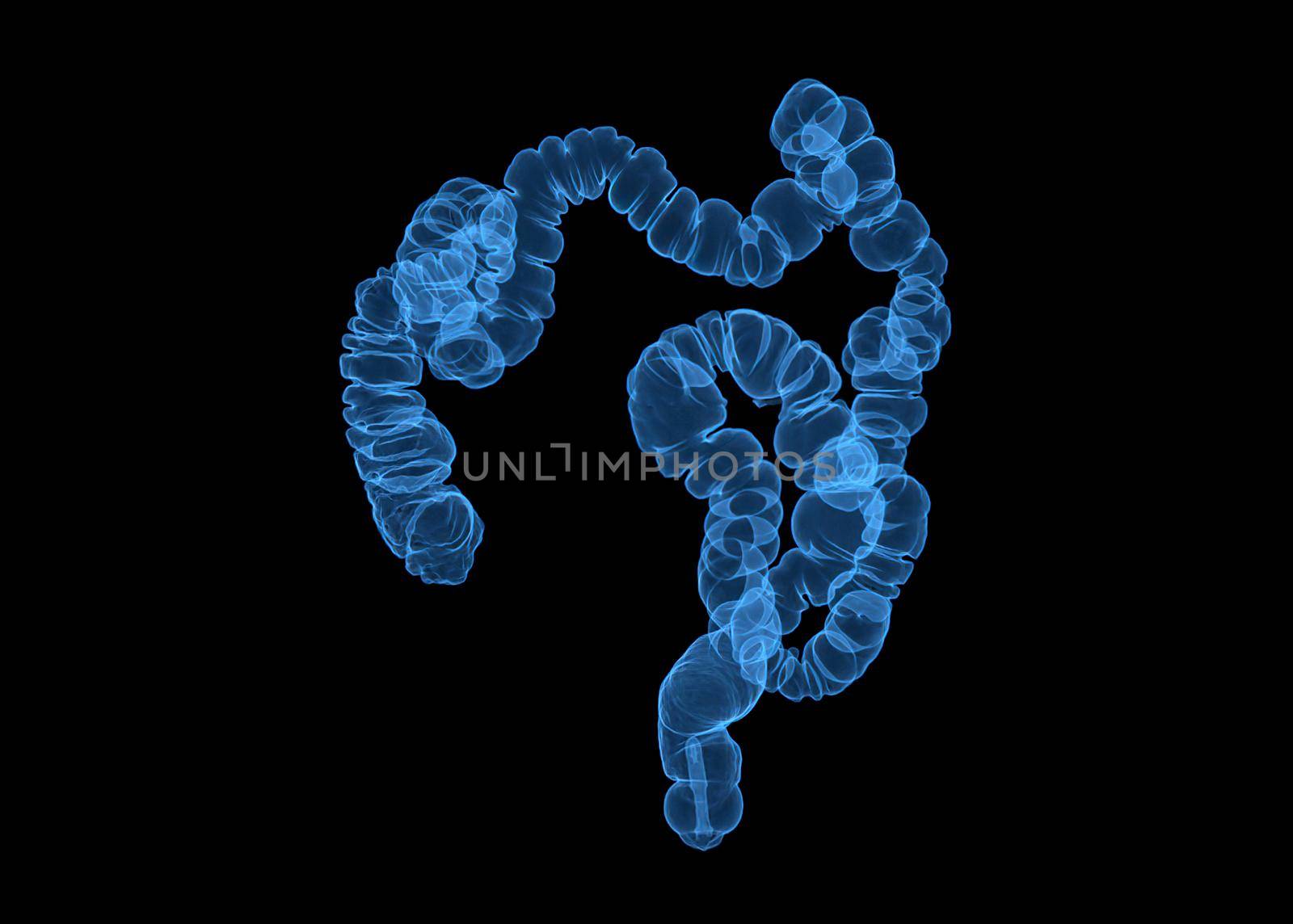 CT colonography or CT Scan of Colon 3D Rendering image blue color AP view showing colon for screening colorectal cancer. Check up Screening Colon Cancer.