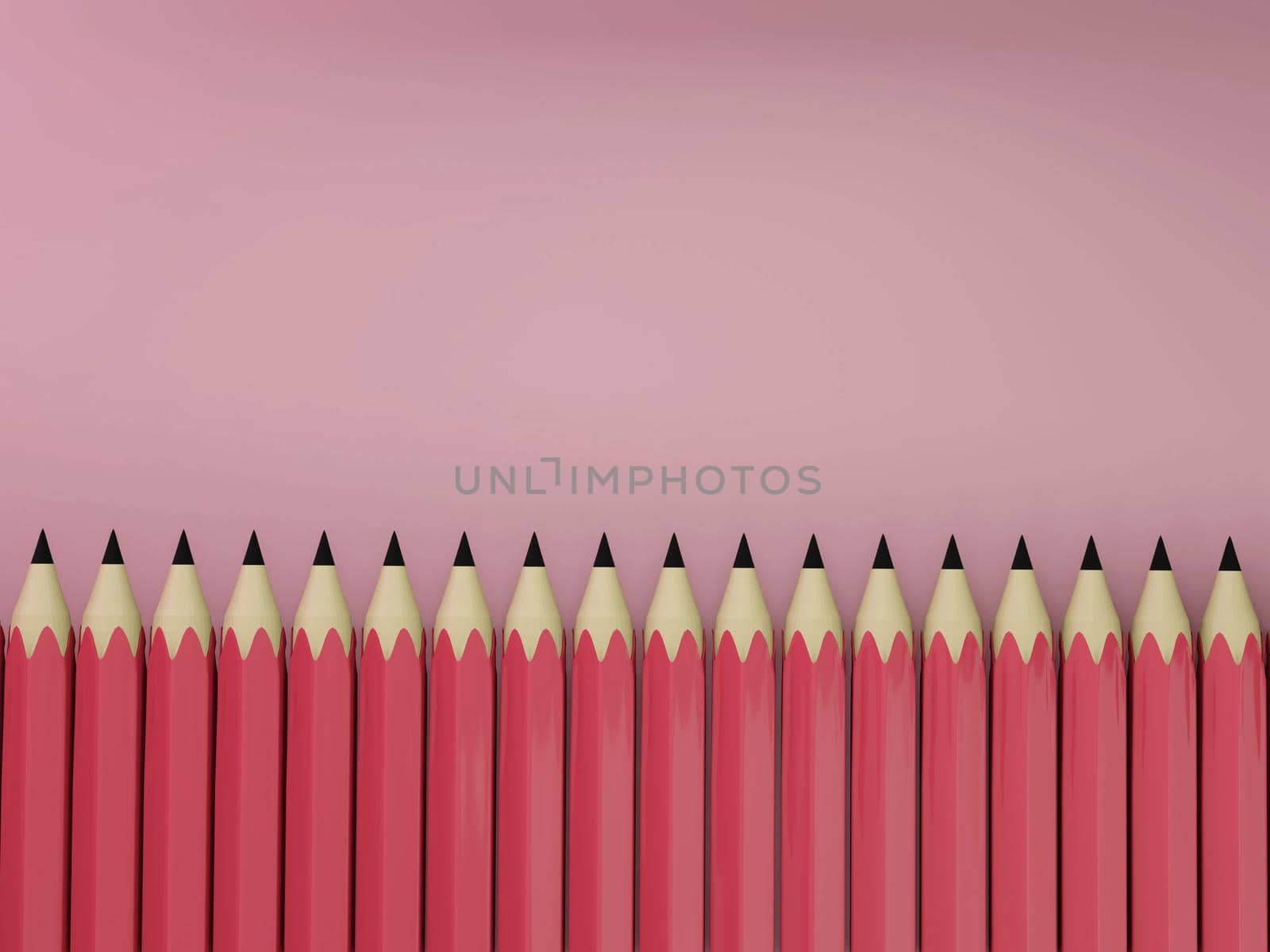 group of Realistic pink pencils Isolated pink background , tool for school or college . 3d illustration.