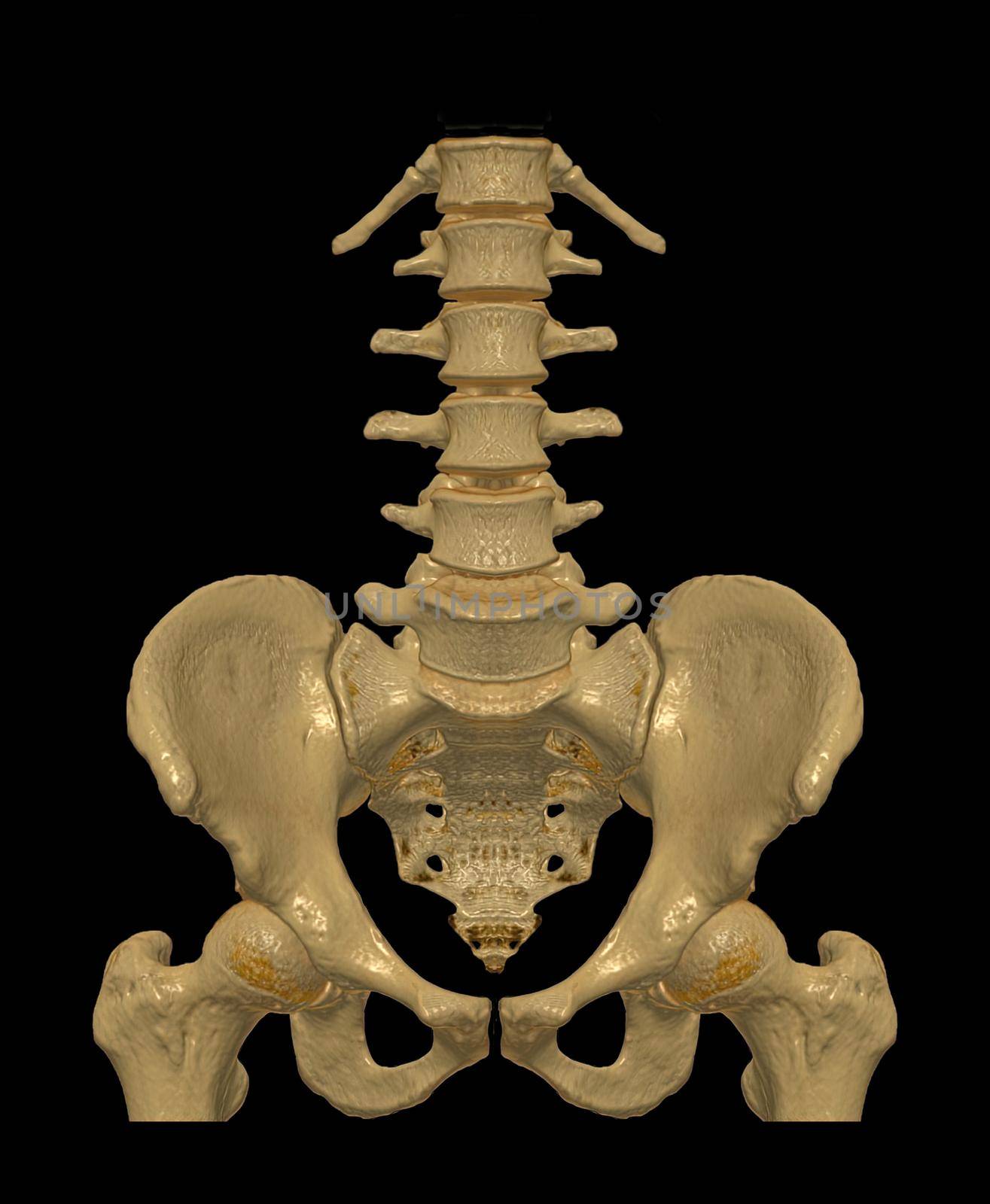 CT Lumbar spine or L-S spine 3D rendering image Front view . 3D illustration. by samunella