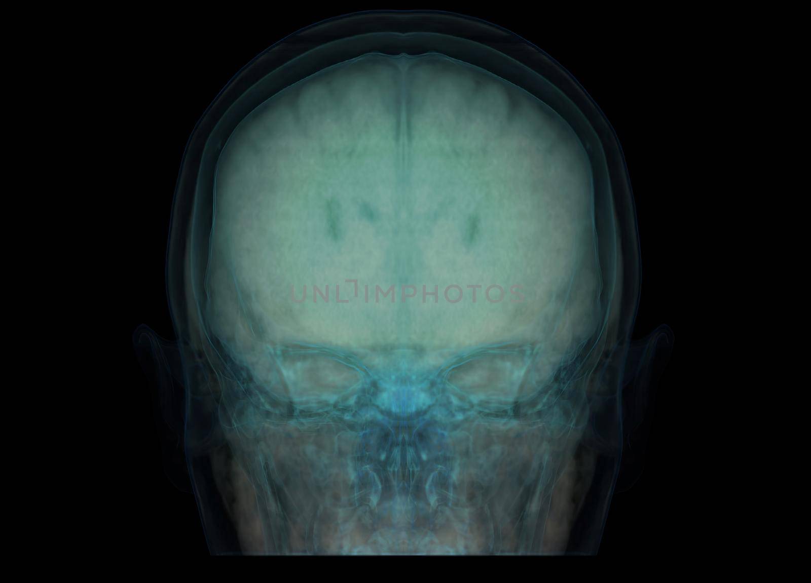 transparent image of the Skull with Brain for medical background concept.