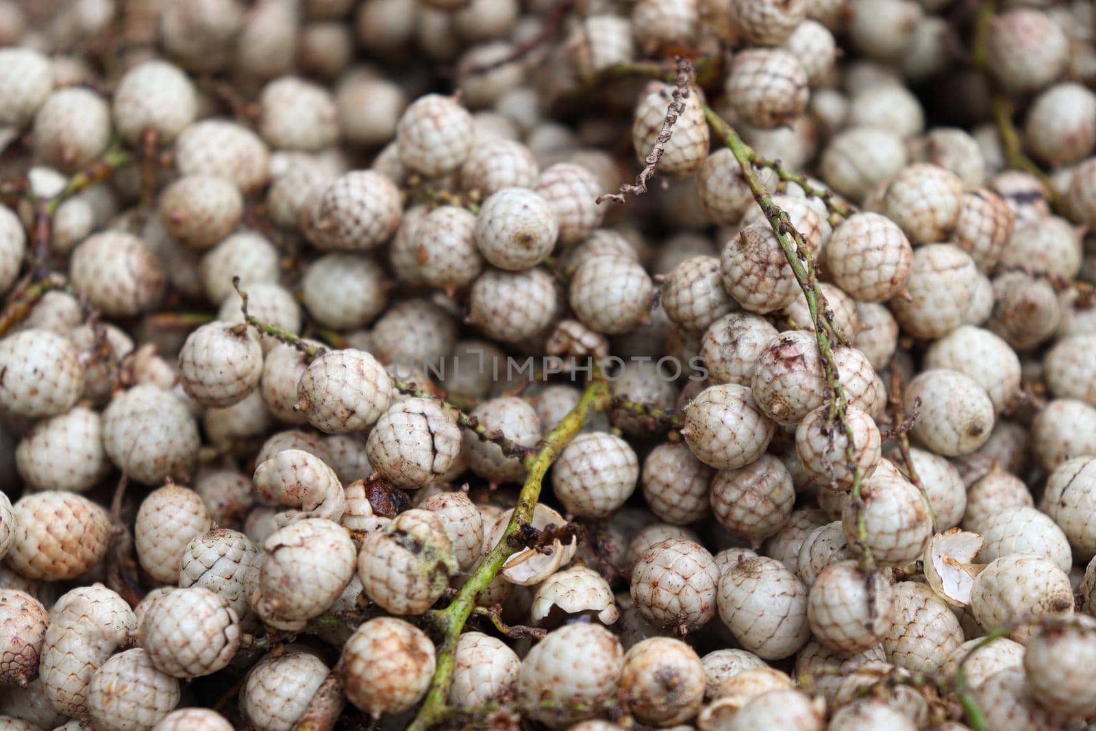 rattan fruit stock on shop by jahidul2358