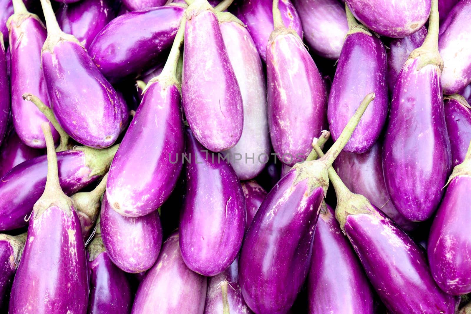 Brinjal Stock on Shop for sell by jahidul2358