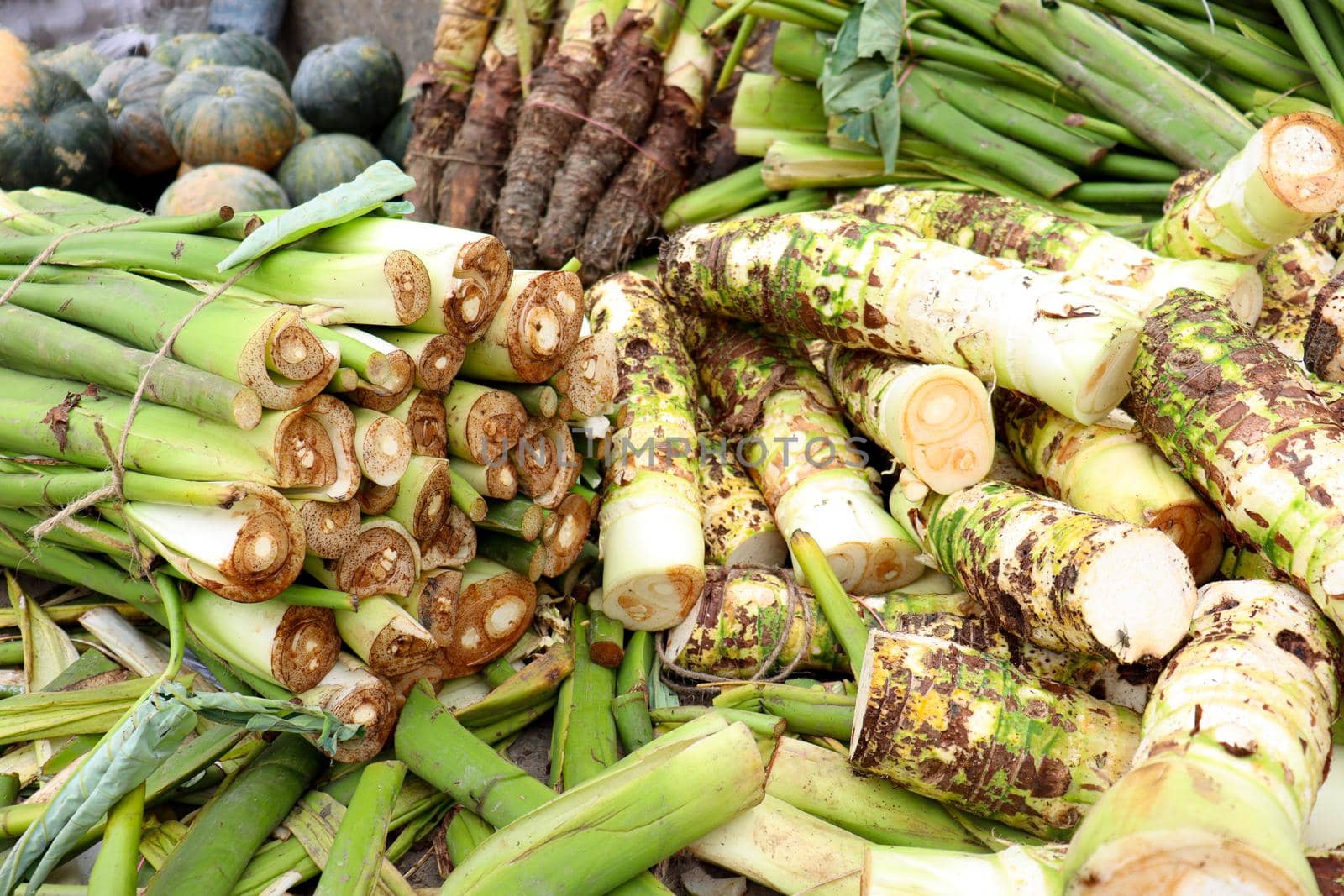 fresh and healthy taro stock on shop for sell