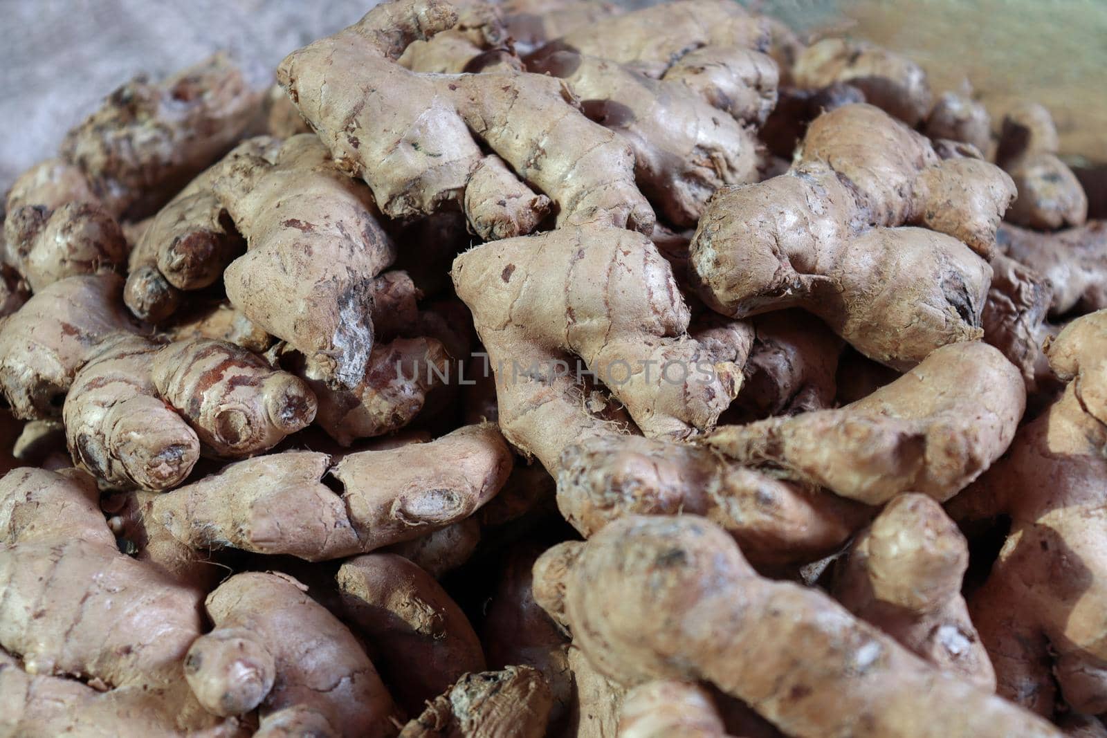 Ginger stock on shop for sell by jahidul2358