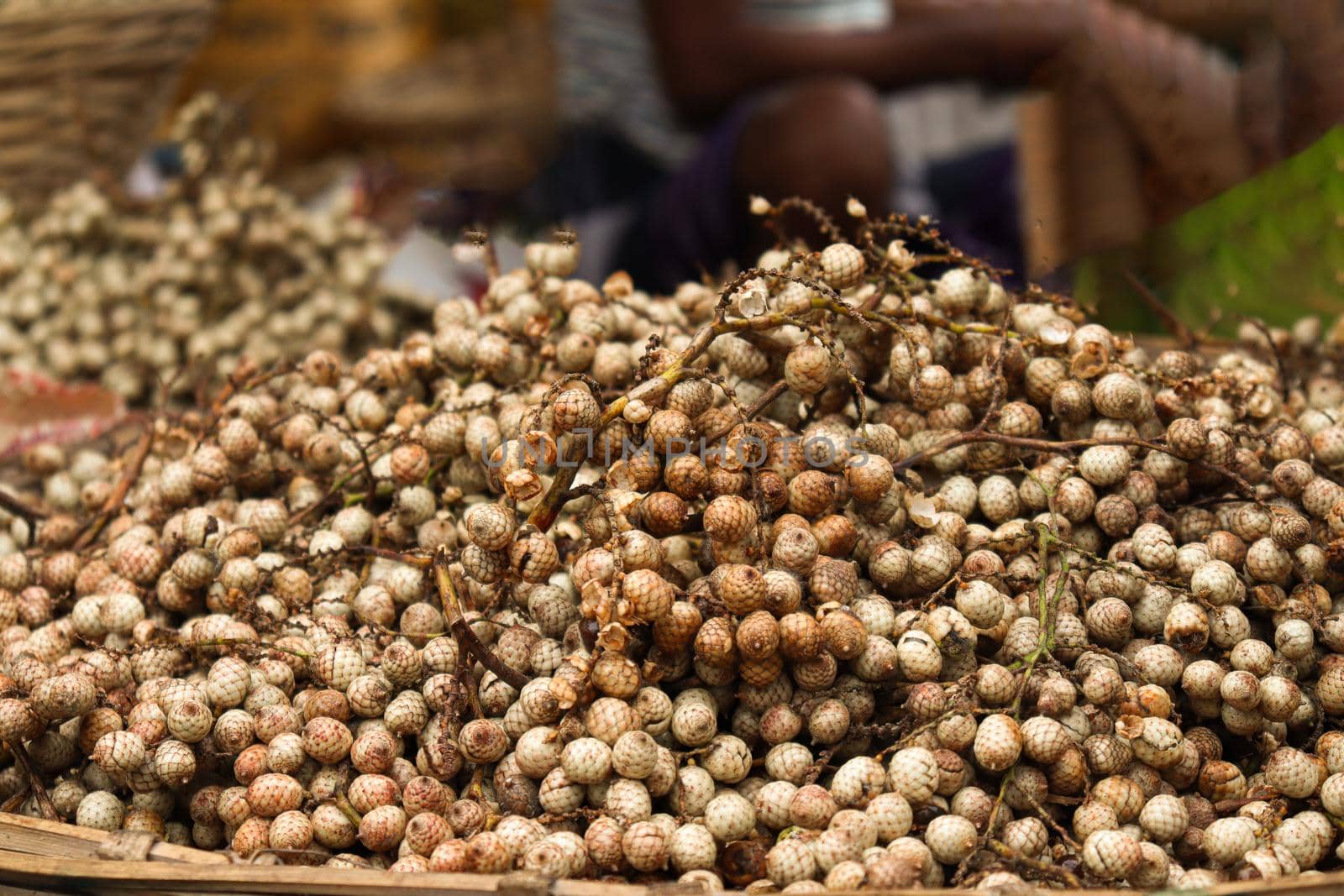 tasty rattan fruit stock on shop for sell