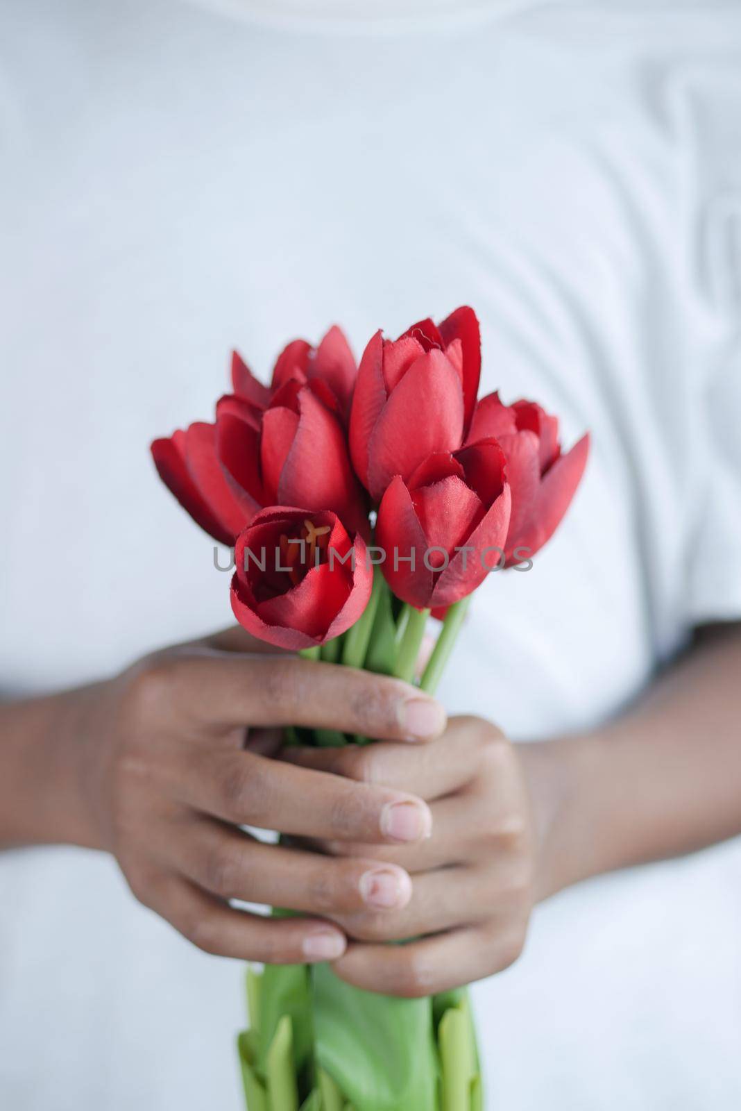 hand holding red color tulip flower .