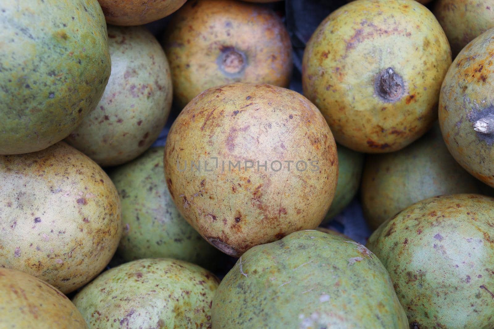 tasty and healthy ripe wood apple stock on shop for sell