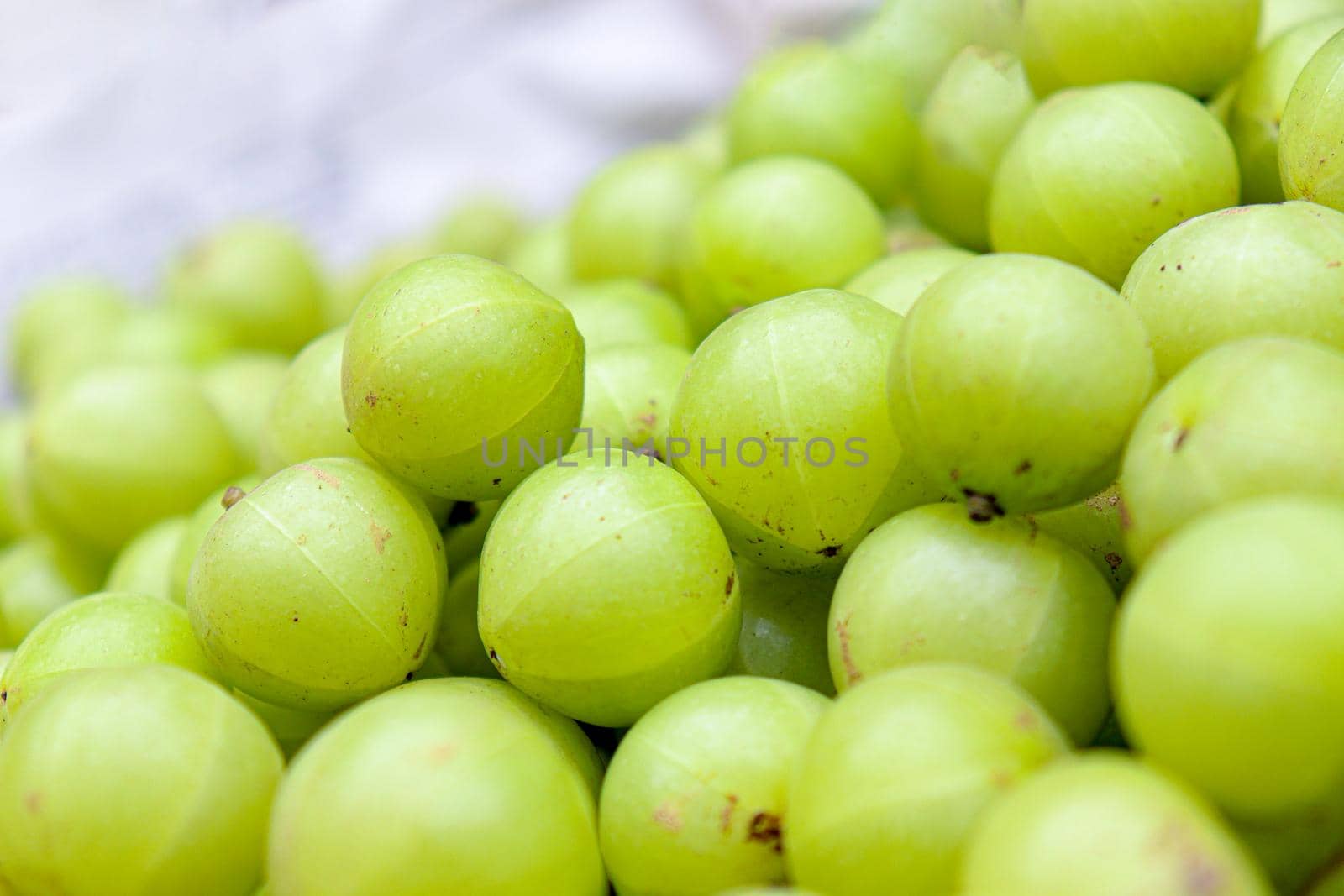 tasty and green gooseberry stock on shop for sell