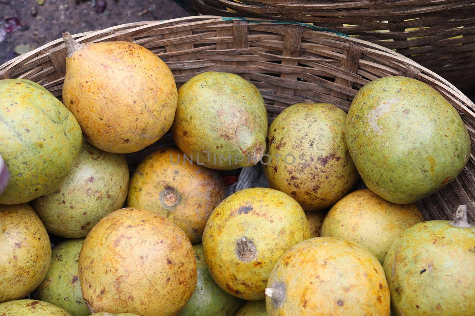 tasty and healthy ripe wood apple stock on shop for sell