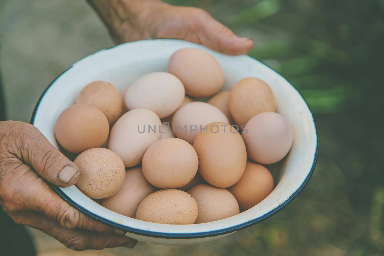 homemade eggs in grandmother's hands. Selective focus. by yanadjana