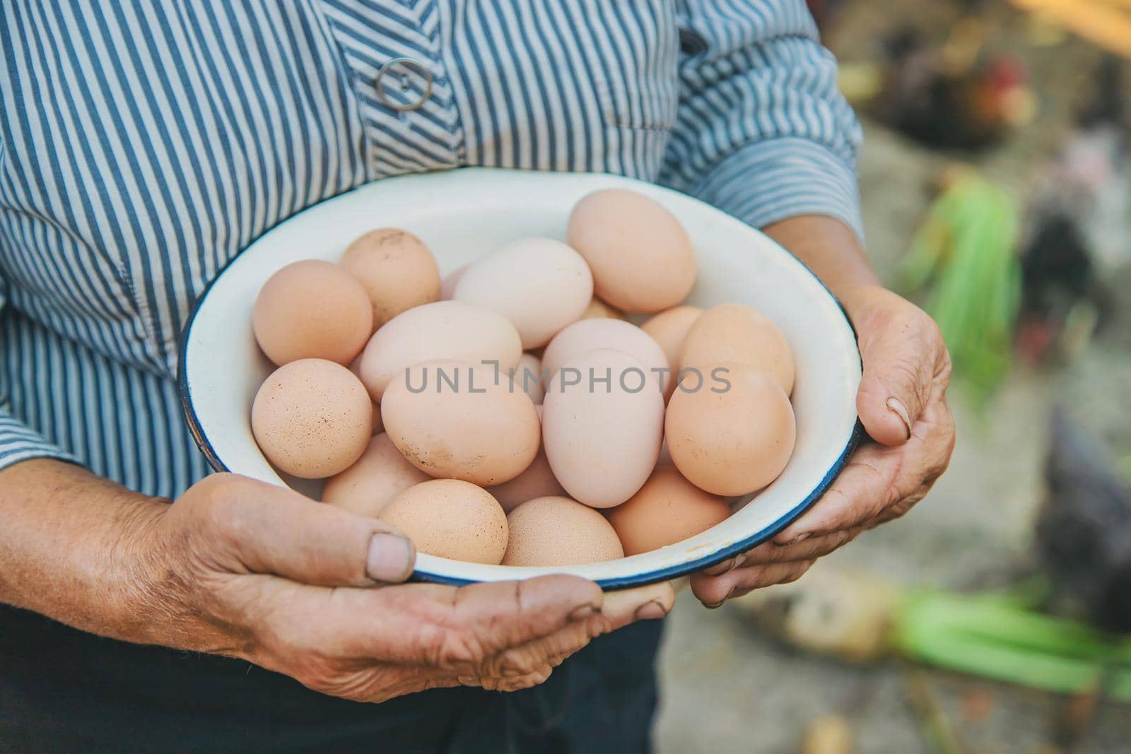 homemade eggs in grandmother's hands. Selective focus. by yanadjana