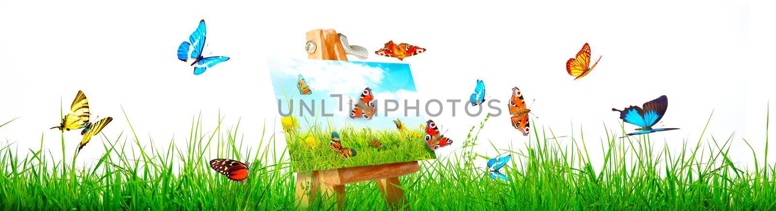 Beautiful nature view of butterfly on blurred background in garden. by Taut