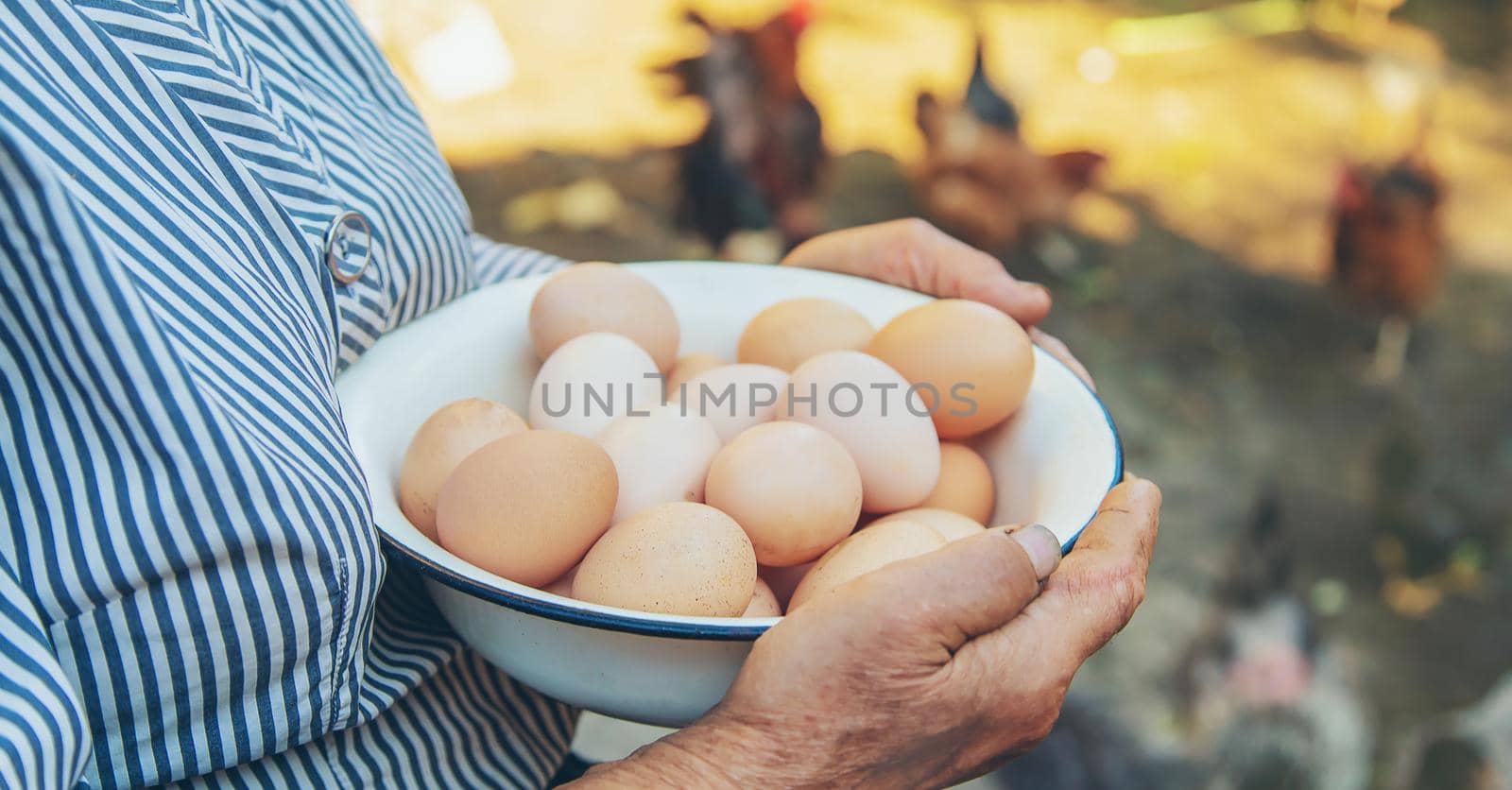 homemade eggs in grandmother's hands. Selective focus. by yanadjana