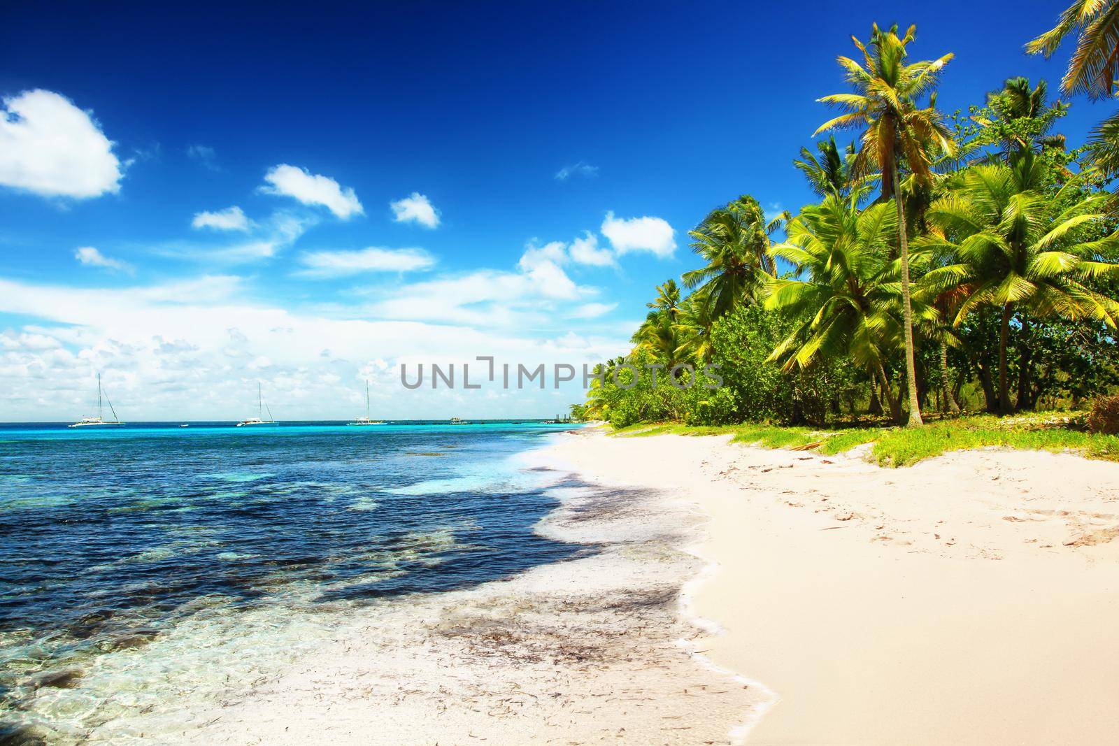 Beach with white sand, sun and quiet ocean. Tropical banner. by Taut
