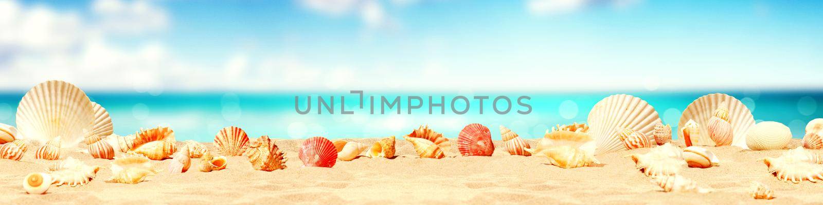 Seashells on seashore - beach holiday background.