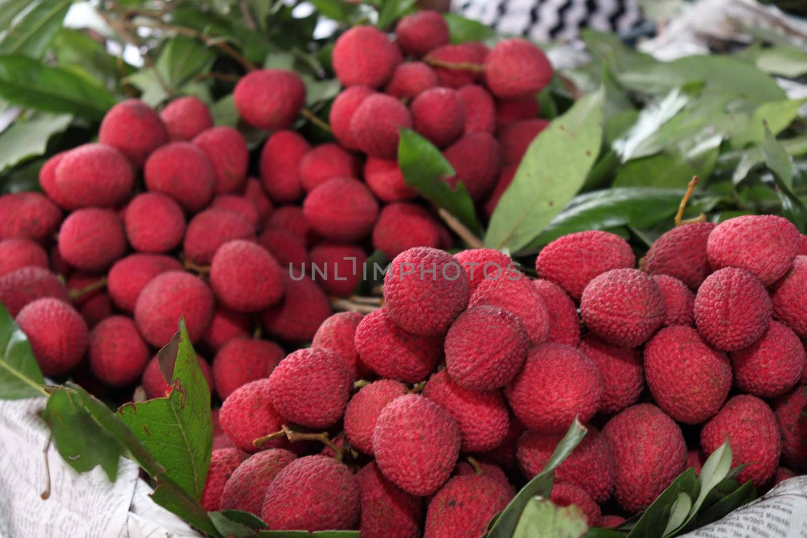 litchi stock on shop for sell by jahidul2358