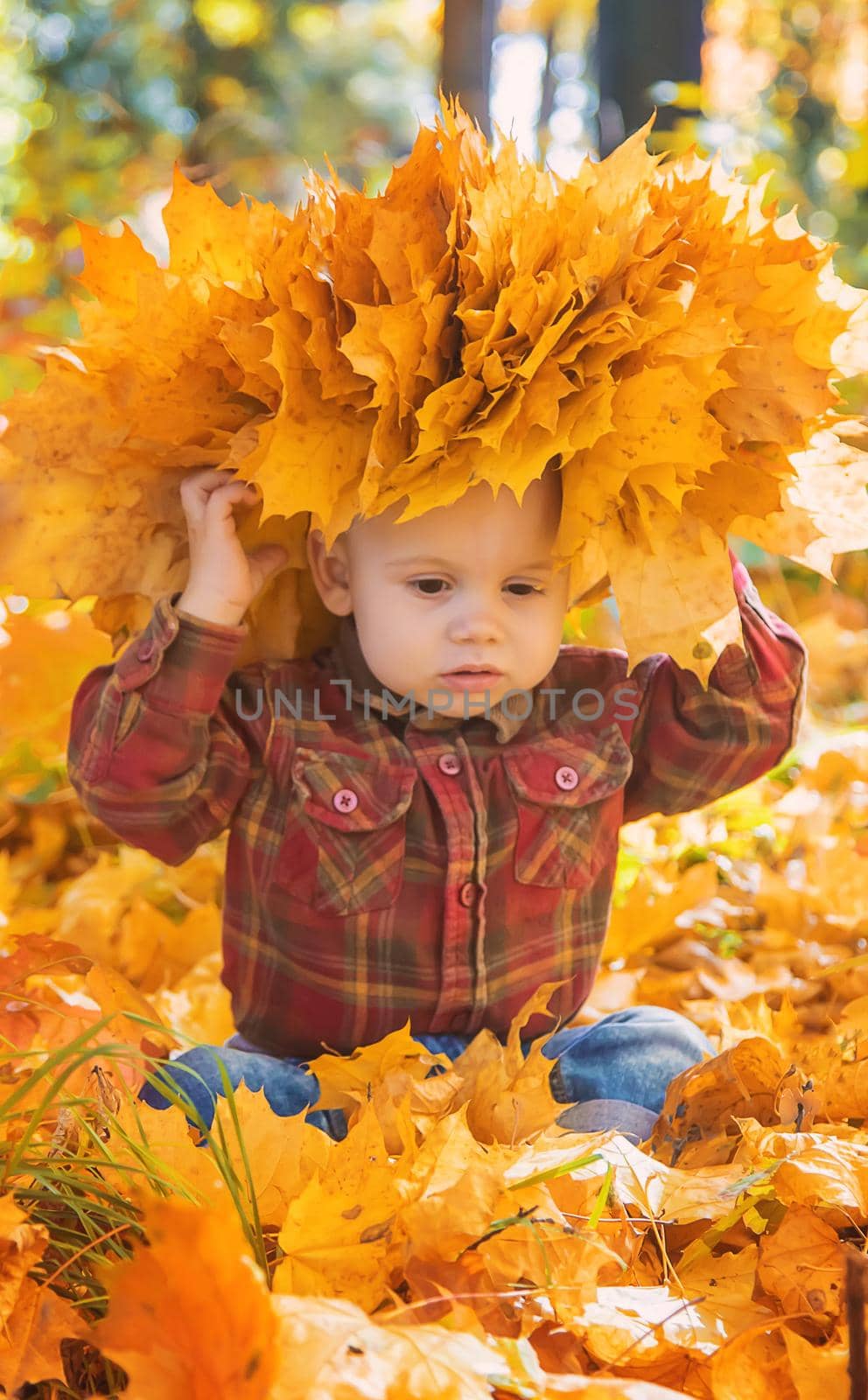 Little kid boy in the park on autumn leaves. Selective focus. by yanadjana