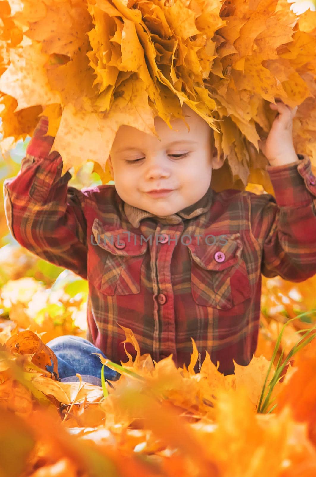 Little kid boy in the park on autumn leaves. Selective focus.