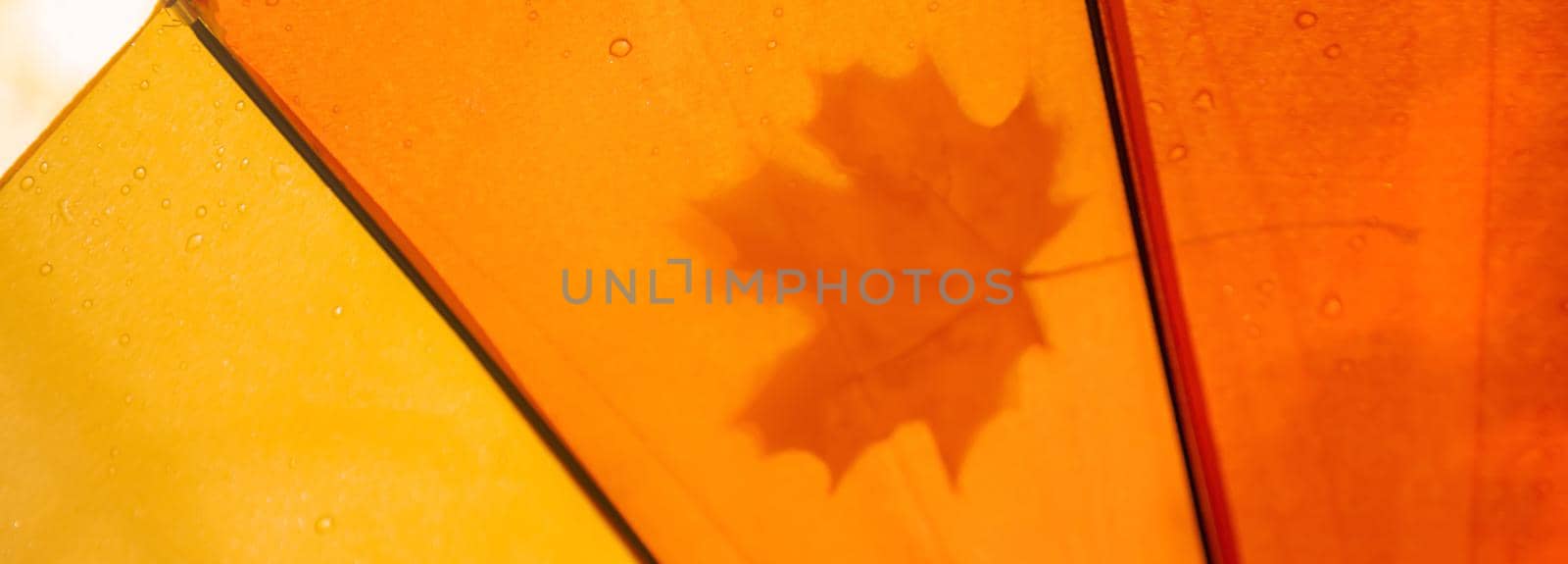 Umbrella with a leaf in the autumn park. Selective focus. by yanadjana