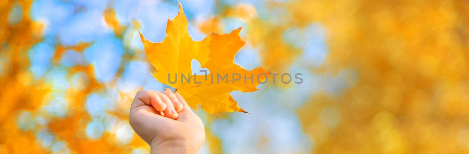 Children in the park with autumn leaves. Selective focus. nature.