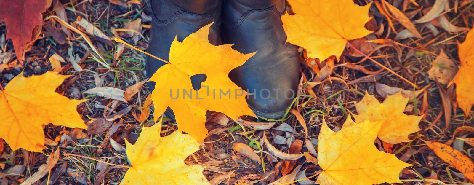 Children in the park with autumn leaves. Selective focus. nature.