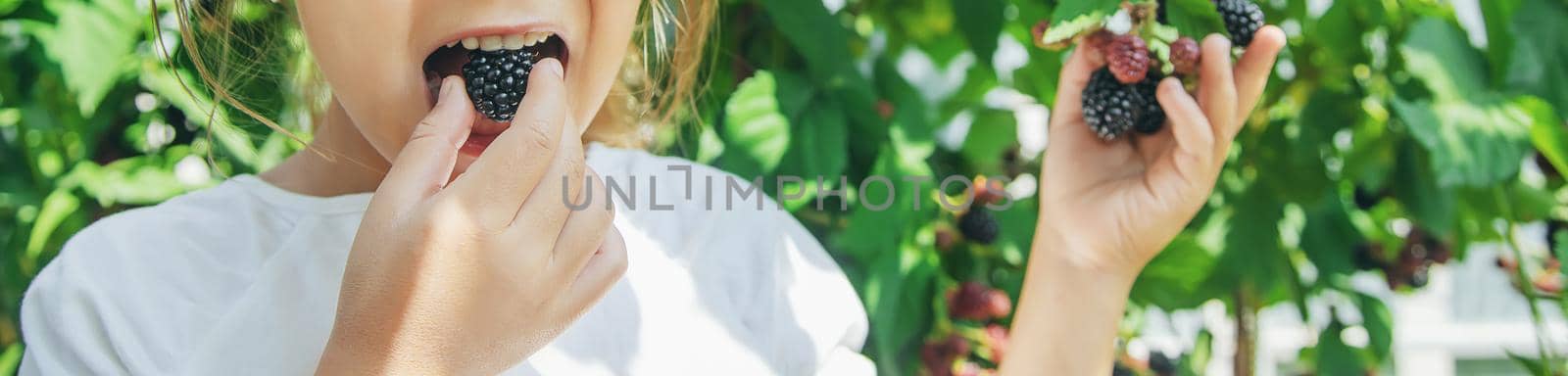 The child holds blackberries in the hands. Selective focus. by yanadjana