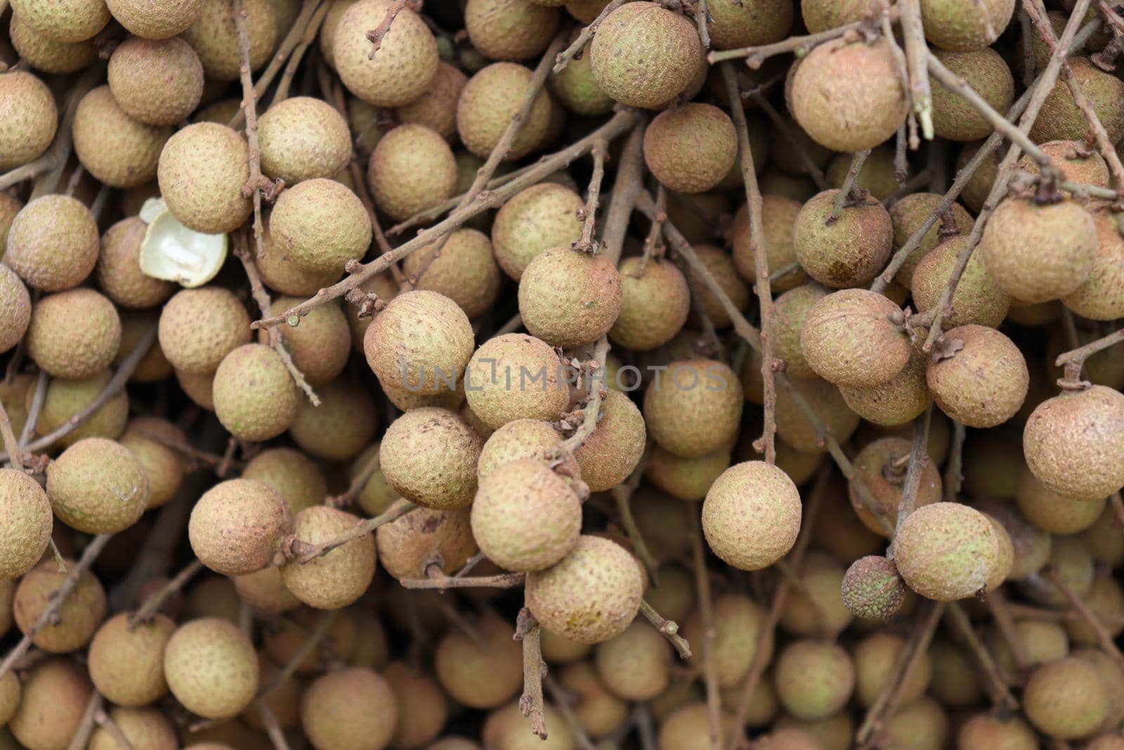 Longan Stock on shop for sell by jahidul2358