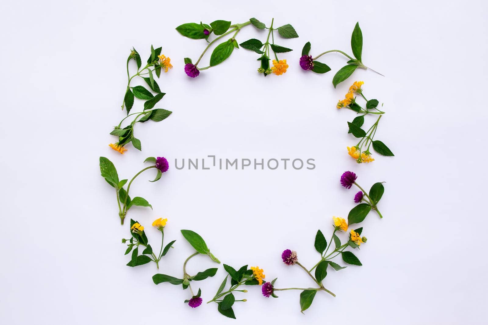 Frame Colorful bright pattern of meadow herbs and flowers on white background. Flat lay, top view. by Jyliana