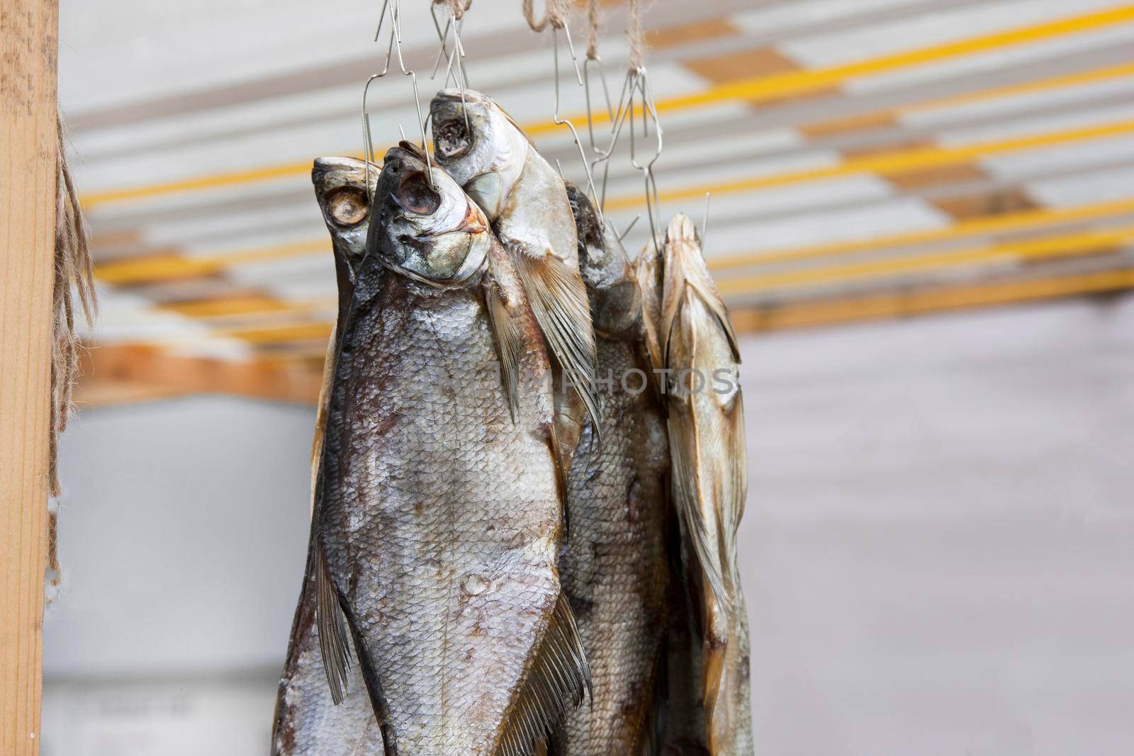 Dried fish on a rope by Jyliana